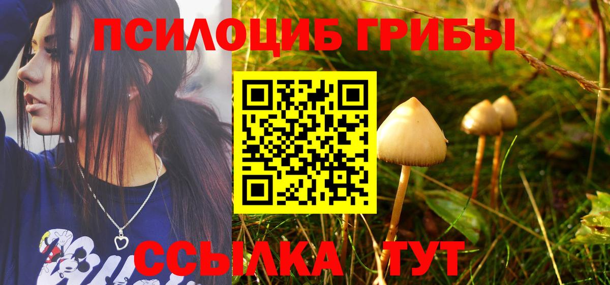 Галлюциногенные грибы Cubensis Железногорск